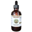 Senega Snakeroot Alcohol-Free Liquid Extract, Senega Snakeroot (Polygala Senega) Αποξηραμένη ρίζα Γλυκερίτης Φυσικό συμπλήρωμα βοτάνων, Hawaii Pharm, ΗΠΑ 2 fl.oz