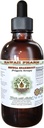 Senega Snakeroot Alcohol-Free Liquid Extract, Senega Snakeroot (Polygala Senega) Dried Root Glycerite Natural Herbal Supplement, Hawaii Pharm, USA 2 fl.oz