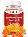 Saccharomyces Boulardii Probiotics 500mg - Συμπληρώματα υγείας κόκκων & Candida Υποστήριξη, Προβιοτικό για γυναίκες & άνδρες, Digestive & ανοσοποιητικά Supports, Συμπλήρωμα, Μη ΓΤΟ, Χωρίς γλουτένη, 60 Vegan Gummies