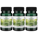 Swanson Black Ginger Extract - Sağlıklı Kan Circulation and Physical Vigor - May Aid Heart Health, Muscle Tound, and mental Wellness - (30 Veggie Capsules, 100 mg each) (3 Pack)