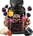 ad hoc Shilajit Pure Himalayan Organic Gummies - Immune Support, Energy Support Supplements - Shilajitwear Lions Mane, Cordyceps, Reishi, Türkiye Tail, Chaga,Shiitake Mushroom Gummies (120 Ct)