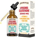 Liposomal Glutathione Liquid 2000MG – Kadınlar ve Erkekler için Antioksit Supplement, Aging Defense, Liver Function & Energy, Hyaluronic Acid + Aloe Vera + Vitamin C, Natural & Vegan, 2 FL.OZ