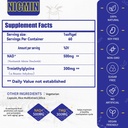 Λιποσωμική NAD+ Συμπλήρωμα 800mg με TMG 300mg, Max Απορρόφηση Πραγματική NAD+ συμπλήρωμα (όχι ένα πρόδρομο για την ενέργεια κυττάρων, υγιή γήρανση και την αποκατάσταση μυών 60 κάψουλες