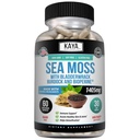 Kaya Naturals Sea Moss - Συμπλήρωμα κινητικότητας για άνδρες και γυναίκες - με Burdock Root, Irish Moss, Bladderwrack, και BioPerine - για την κινητικότητα Υγεία και ανοσοποίηση Boost, 60 Count