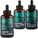 WILD FUEL Liquid Collagen, Marine Collagen and Liquid Chlorophyll Beauty and Wellness Bundle