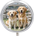 Yuvarlak Pill Case 3 Karşılaştırma Altın Köpekleri Puppies Evcil hayvanlar Pill Box Mini Tıp Pill Organize Edici Port Pillbox For Pocket Purse Metal Pill Konteyner for Vitamins Fish Oil Supplements
