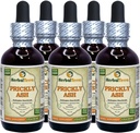 Prickly Ash (Zanthoxylum Clava-herculis) Tincture, Dried Bark Liquid Extract (Brand Name: HerbalTerra, Proudly Made in USA) 5x2 fl.oz (5x60 ml)