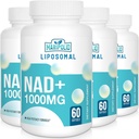 Liposomal NAD+ Supplement 1000 mg | En Yüksek NAD Pontecy | Max Aborpsiyon | Pure NAD Supplement | Enerji ve DNA Tamir, Aging Defense, Brain Function | 240 Softgels