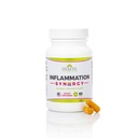 Sağlık Syn3rgy Supplement Olmak Için Ought Olarak | Doktor Turmeric, Pine Bark, Ginger Root | 60 Capsules