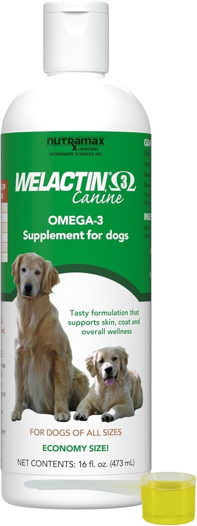 Nutramax Welactin Omega 3 Fish Oil για σκύλους, δέρμα και παλτό συμπλήρωμα υγείας, συν κοινή, ανοσοποιητικό, νεφρό, και την υποστήριξη του εγκεφάλου, Premium Omega 3 λιπαρά οξέα, για σκύλους όλων των μεγεθών, 16 Ounce Liquid (3 Pk)