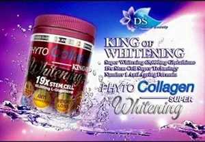 Phyto Collagen Whitening 19X STEM CELL Anti-Aging Pro Whitening Sonuçlar Enerji