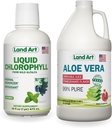 Land Art Aloe Vera Juice - Pomegranate Flavored - Cold Processed - Organik Fresh Leaves - 64floz + Sıvı Klorophyll Mint Flavored - Cold Non-GMO Alfalfa - 16floz