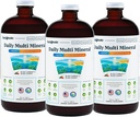 LIQUIDHEALTH Daily Multi Mineral Liquid Supplement with Fulvic Acid, Plantive Ionic Aquamin Sea Trace Ocean Minerals - Immune Support, Energy, Gut Health, Detox - ABD'de Made in Vegetarian (3 Pack)