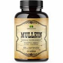 HERBALICIOUS Mullein Leaf Extract for Lungs – Lung Detox for Smokers & Respiratory Support – Herbal Supplement for Lung Cleanse, Detox, and Digestive Wellness – Vegan, Non-GMO, 100 Capsules