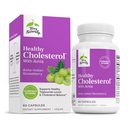 Terry Natural sağlıklı Cholesterol with Amla - Antioksi Supplement for Immune & Heart Support - Supplement to Aid Health Cholesterol & Triglyceride - 60 Capsules