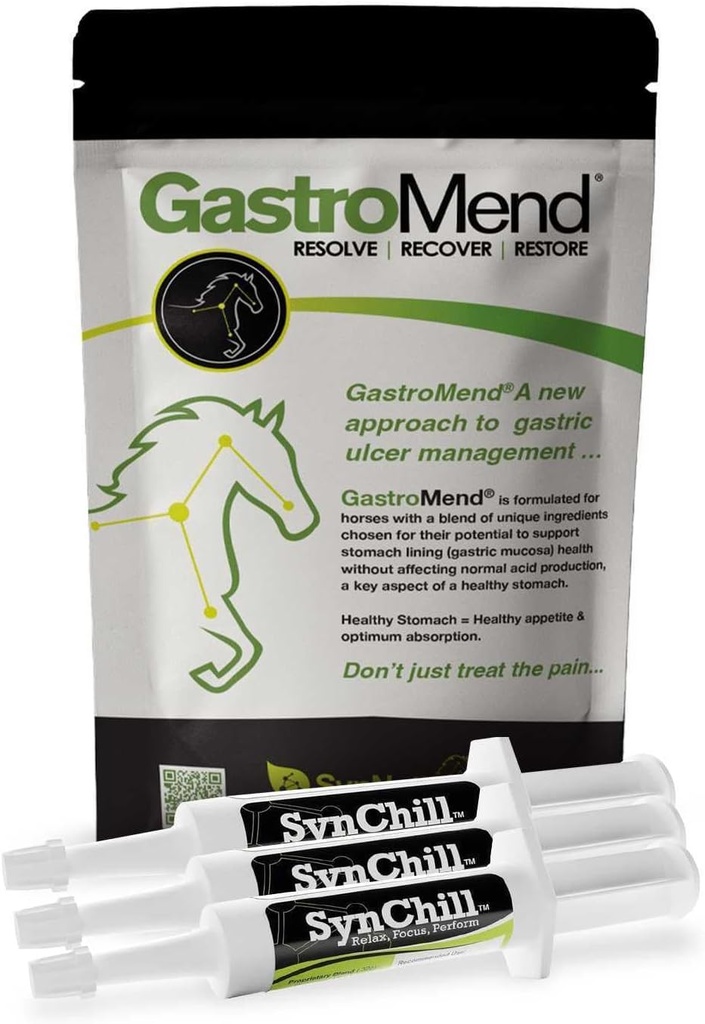 SynChill 3 Pack + GastroMend Sche for Horses - Comprehensive Stomach Health & Davranışsal Destek, Gastrik Ulcer Relief, Supports Calmness & Focus, All Natural, Cost effective
