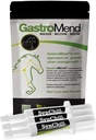 SynChill 3 Pack + GastroMend Sche for Horses - Comprehensive Stomach Health & Davranışsal Destek, Gastrik Ulcer Relief, Supports Calmness & Focus, All Natural, Cost effective