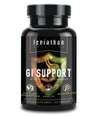 Leviathan Beslenme GI | Sağlıklı Gut Health & Gut Bakterileri - MicroBiome Bloating Balance Probiyotik & Intestinal Lining Health with çinko-L-Carnosine, Butyrate, & DGL Supplement - 120 Capsules