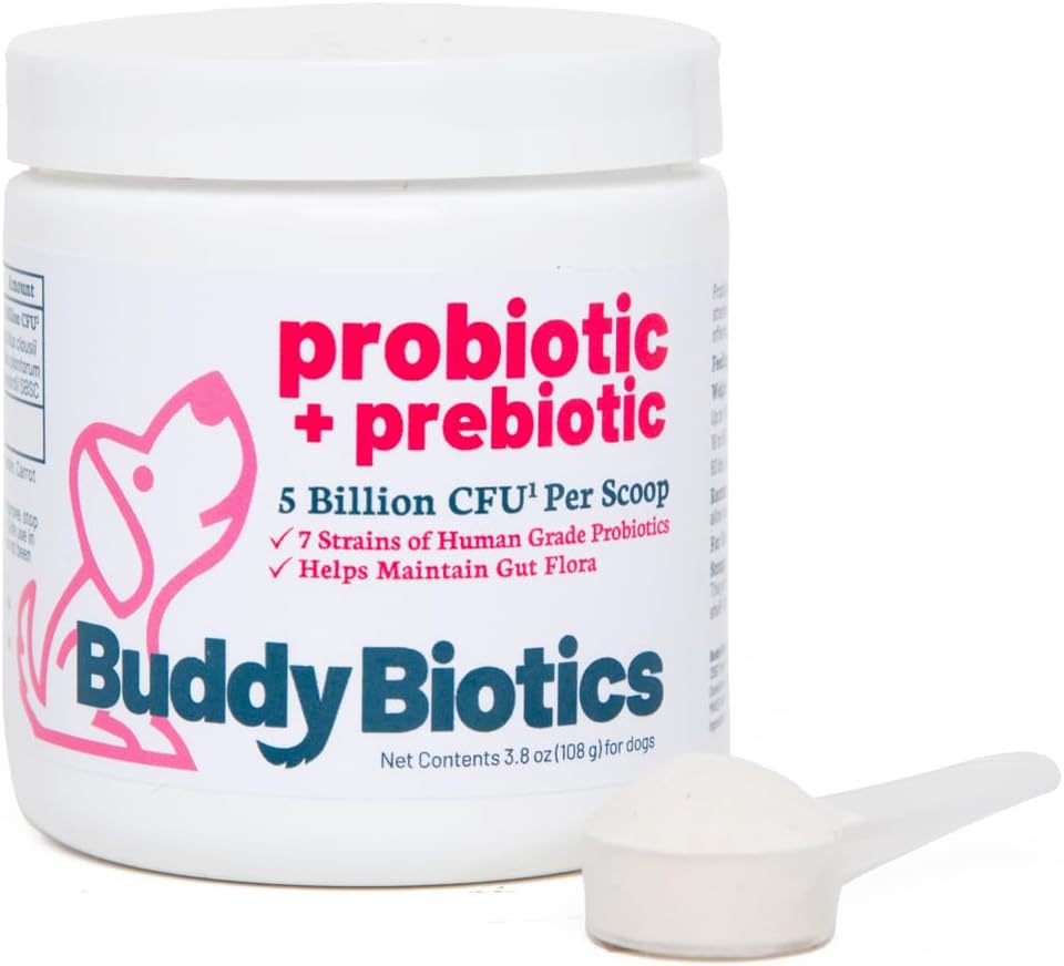 Buddy Biotics Probiotic + Prebiotic for Dogs- Gut Flora Health, Digestive and Immune Health, Diarrhea and Bowel Support – 5 δισεκατομμύρια CFU per Scoop