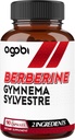 agobi Berberine Supplements 500 mg with Gymnema Sylvestre - Super Tempd Formula for Immune System, Circulation Health, Digestive & Energy Production - 90 Capsules