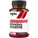 agobi Berberine Supplements 500mg with Gymnema Sylvestre - Super Concentrated Formula for Immune System, Circulation Health, Digestive & Energy Production - 90 Capsules