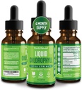 Premium Chlorophyll Liquid Drops -% 100 Natural & Gluten Free Liquid Chlorophyll - Non GMO, 118 Hizmet