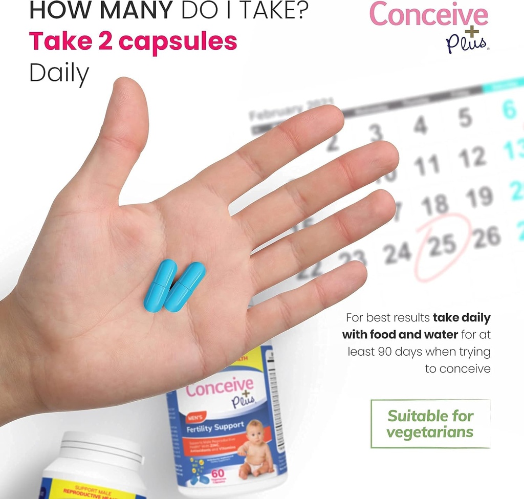 CONCEIVE PLUS Erkekler Mottitude Sche Mens Ferttitude 60 + Mottitude Supplement 60 Capsules