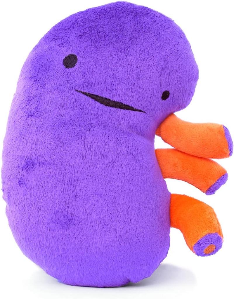 I Heart Guts Kidney Plush - 9" Eğitim Organı Kidney Hastalığı, Transplantasyon, Diiyaliz, CKD, Polycystic Kidney, Renal Başarısızlık - Funny Well Hediye