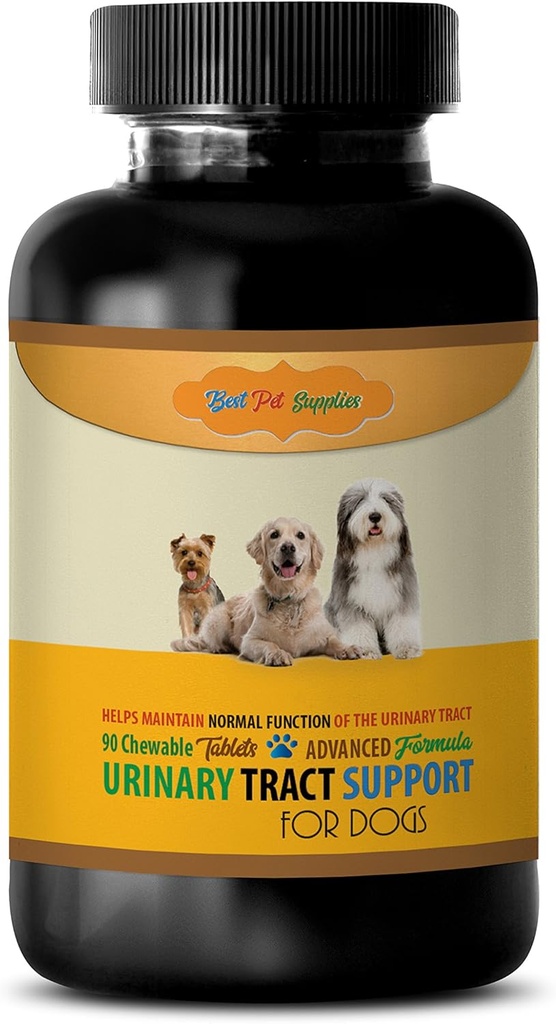 Köpekler için Bladder Destek - Köpekler Urinary Tract Desteği - Sağlık Fonksiyonları - CHEWABLE - Köpekler için - köpek takviyeleri ve vitaminler - köpek vitaminleri ve multivitaminleri - 90 Tedaviler (1 Şişe)