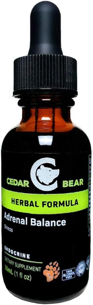 Cedar Bear Adrenal Balance - Υγρό συμπλήρωμα βοτάνων με προσαρμογές που καταπολεμά τη κόπωση, διαχειρίζεται το στρες και αυξάνει την ενέργεια 1 fl oz / 30 ml