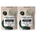 Orman Tozları Fadogia Agrestis Toz Erkekler için 50:1 313 Hizmet, Black Ant Extract 30:1 94 Drive & Passion için Geleneksel Erkekler Sağlık Desteği