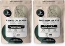 Orman Tozları Fadogia Agrestis Toz Erkekler için 50:1 313 Hizmet, Black Ant Extract 30:1 94 Drive & Passion için Geleneksel Erkekler Sağlık Desteği