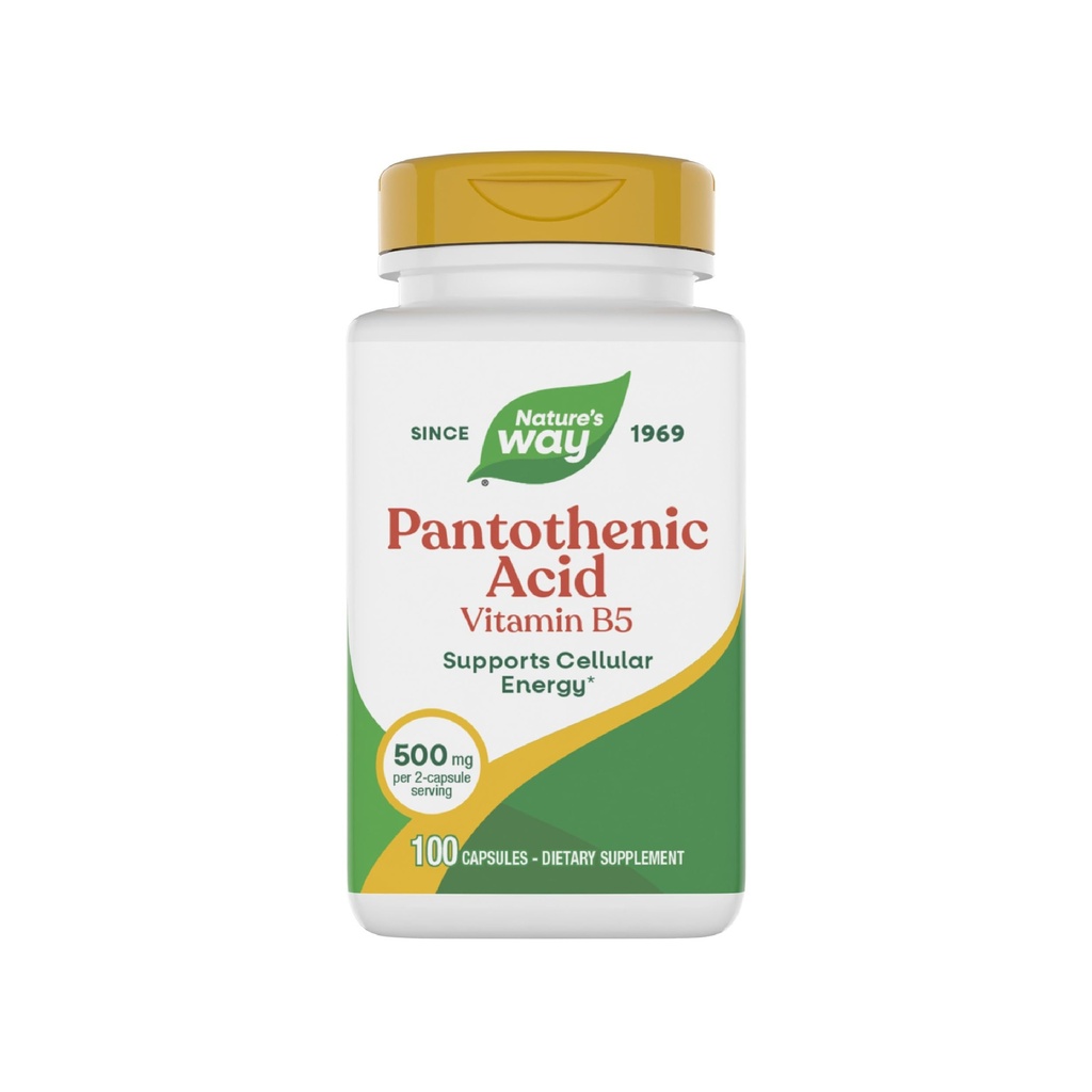 Nature's Way Pantothenic Acid, Supports Cellular Energy*, 500 mg Per Servis, 100 Capsules