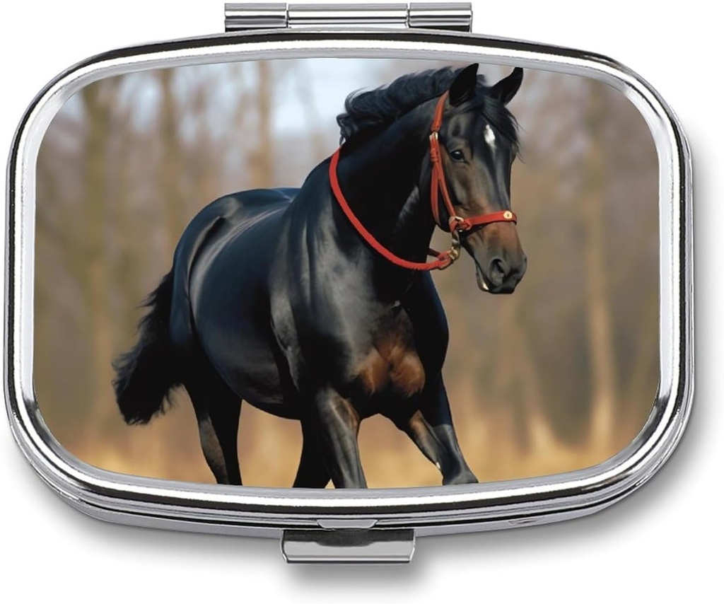 Pill Box Portable Pill Case for Pocket Horse on Lawn Travel Small Pill Organizer 2 Karşılaştırmalı Metal Pill Konteynere For Medicine Vitamins Fish Oil Supplements