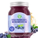 Sea Moss Gel, 18.5OZ Raw Flavored Irish Seamoss Gel Immune ve Digestive Support Vitamin Mineral Supplements, Blueberry