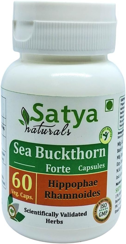 Sea Buchthorn Forte Capsule 500 mg. 60 Veg. Capsule | Sea Buchthorn (Hippophae rhamnoides) Erkekler ve kadınlar için Aşırı Kapsüller | Ayurvedic Herbal Supplement | 10:1 Forte (1 Şişe 60 Capsules)