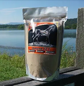 Immune Key - 1.25 lb. - All Natural, GMO-Free, Builds Güçlü Immune System
