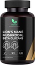 Mishas Lions Mane Supplement - Organik Lions Mane - Beyin Sağlık Desteği - Oda Focus & Memory, Immune & Nervous Function System Women & Men - 60 Vegan Capsules Mane - Brain Health Support - Mushroom Support for Focus & Memory, Immune & Nervous Function System Women & Men - 60 Vegan Capsules