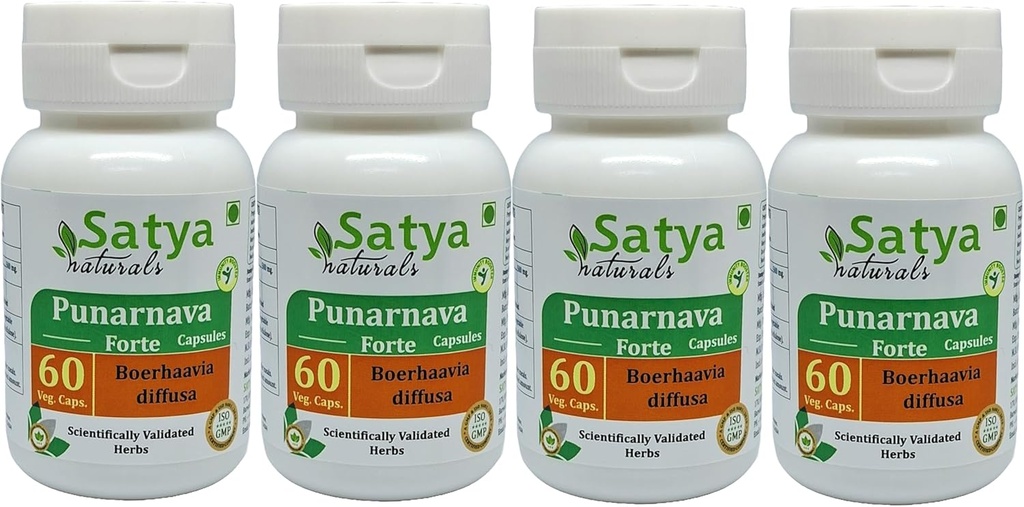 Punarnava Forte Capsules 500 mg. 60 Veg. Capsule | Punarnava (Boerhaavia Diffusa) Erkekler ve kadınlar için Kapsüller | Ayurvedic Herbal Supplement / R kaçtı | 10:1 Forte (4 60 Capsules)