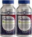 Silver Lining Pre & Probiotics + Digestive Enzymes 