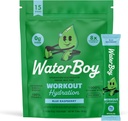 Waterboy Workout Hydration | 2,960mg Sugar Free Electrolyte Toz Paketleri | L-Glutamine + Vitaminler | No Sugar, All Natural, Gluten Free | 15 Irma Mixes (Mavi Raspberry)