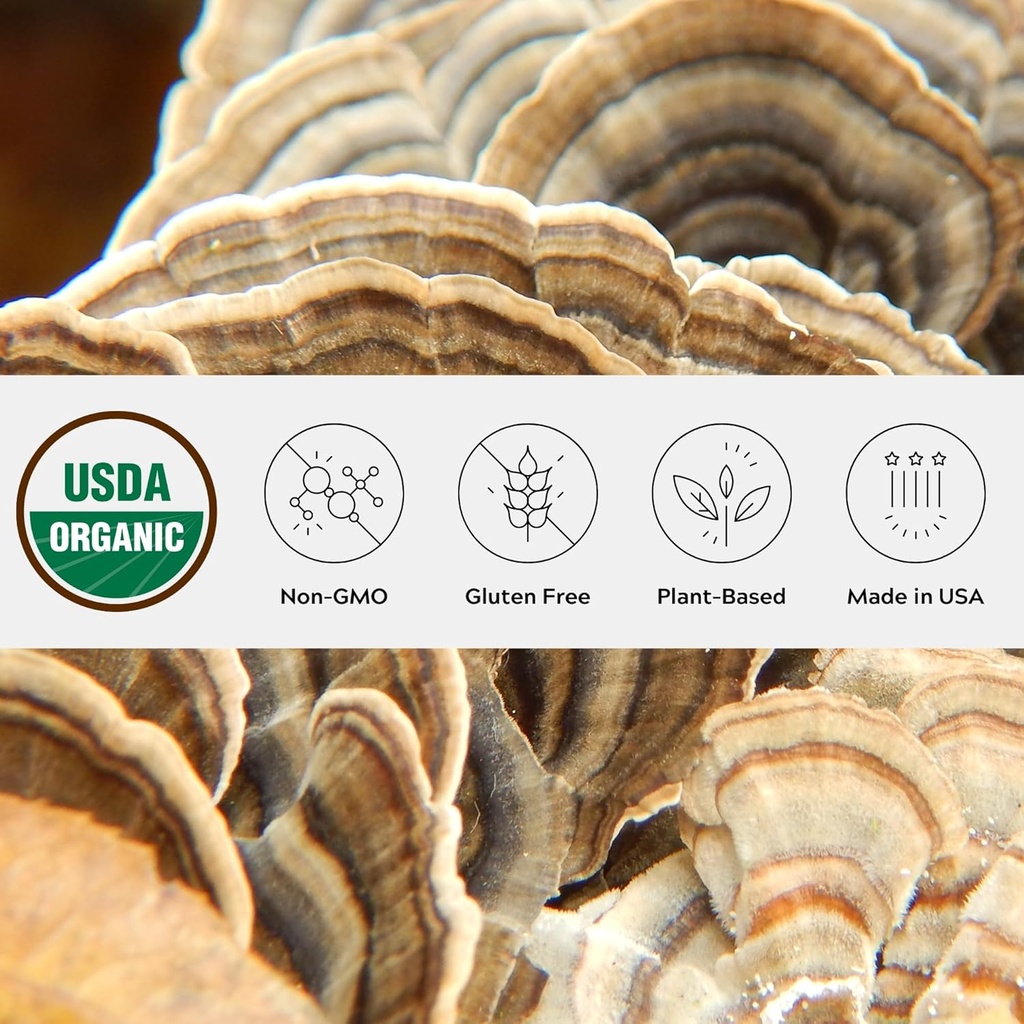 Organik Türkiye Tail Mushroom Toz, Single Estate, Non-GMO - Gut, Enerji, Beyin ve Immune Support - Vegan Mushroom Supplement in a Resealable Glass Jar Jar