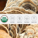 Organik Türkiye Tail Mushroom Toz, Single Estate, Non-GMO - Gut, Enerji, Beyin ve Immune Support - Vegan Mushroom Supplement in a Resealable Glass Jar Jar