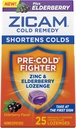 Zicam Ψυχρή Remedy Zinc Lozenges, Elderberry Flavor, Ομοιοπαθητική, Καταπραϋντικό Λαρύγγι και Βήχας, Ψυχρή Λιποθυμία Ιατρική, Συντομεύει Ψυχρή Διάρκεια, 25 κόμης