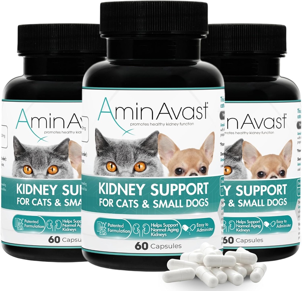 AminAvast Kidney, Cats ve Small Dogs için Supplement, 300 mg 3-Pack - Doğal Kidney Fonksiyonlar - Aging Kidneys'deki Yardımcılığı - kolayca Administered - 60 Sprinkle Capsules