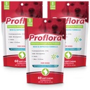 Proflora Probiyotik Yumuşak Chews for Dogs - Veteriner-Strength Daily Probiyotik - Digestion Health - Boost Immune System - Skin and Coat Health - 180 Soft Chews