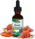 Nature's answer Alkol-Free Reishi Extract Fruiting Body, 1-Fluid Ounce Liquid Extract Immune System Builder