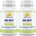 Günlük Vites Deniz Moss Capsules 1500 mg (2 Pack) - Wildcrafted Irish Sea Moss Bladderwrack ve Burdock Superfood - Immune System, Gut Health & Yourroid Support - 240 Vegetarian Capsules