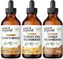 Wild & Organic Lion's Mane, Türkiye Tail & Chaga Mushroom Tinctures