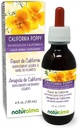 Naturalma Esscholzia (Eschscholzia californica) βότανο Βάμμα Χωρίς αλκοόλ - 4 fl oz εκχύλισμα υγρού σε σταγόνες - συμπλήρωμα βοτάνων - Vegan